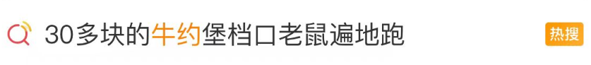 掌上春城微信