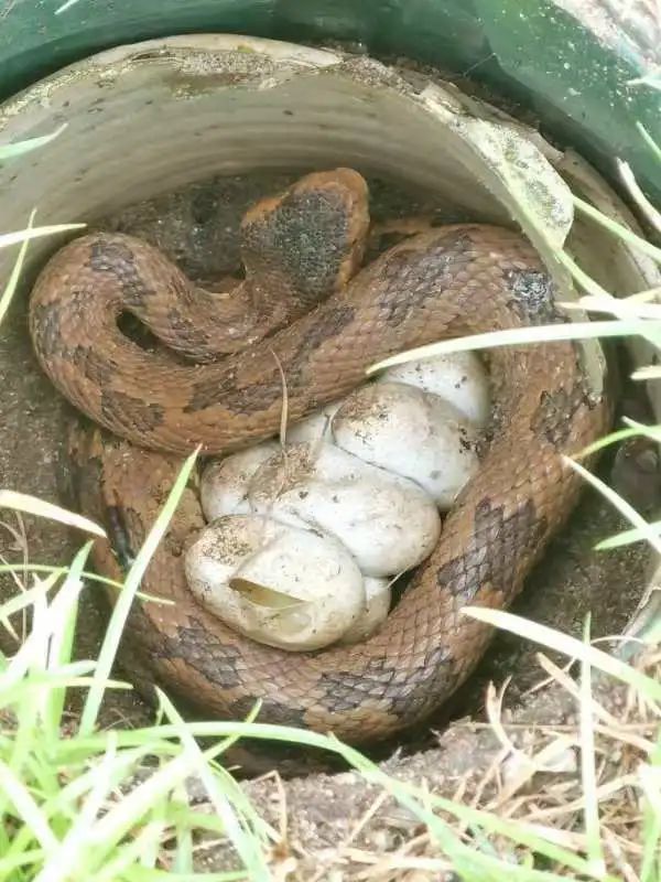 8099999街头巷尾微信