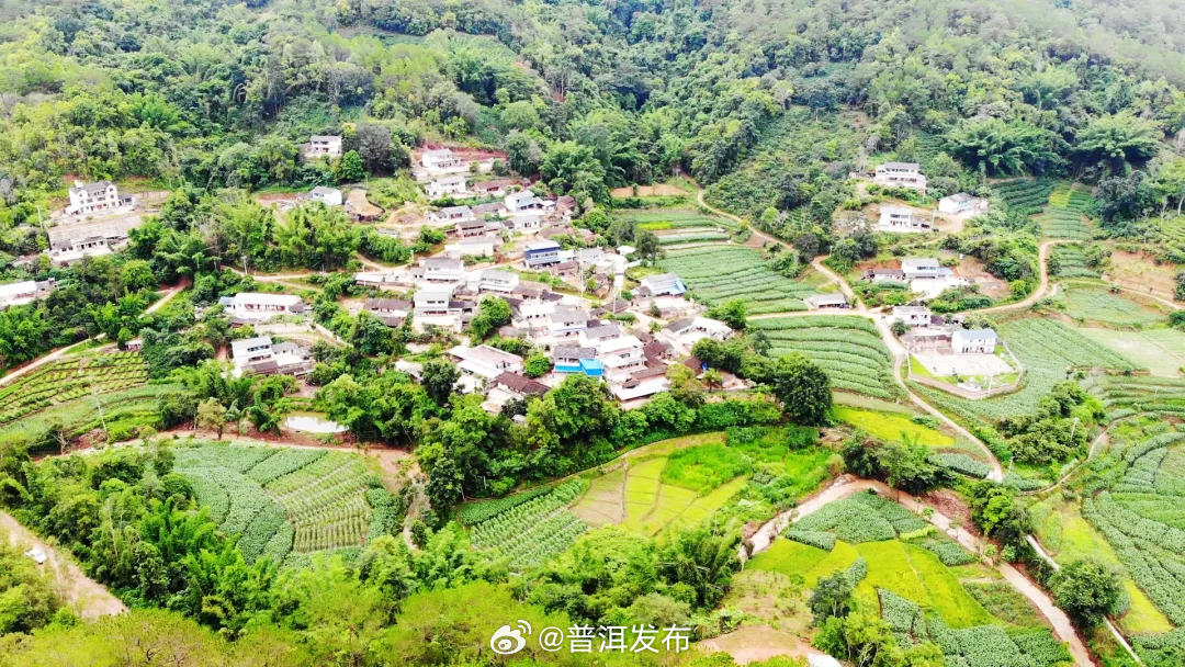 普洱发布