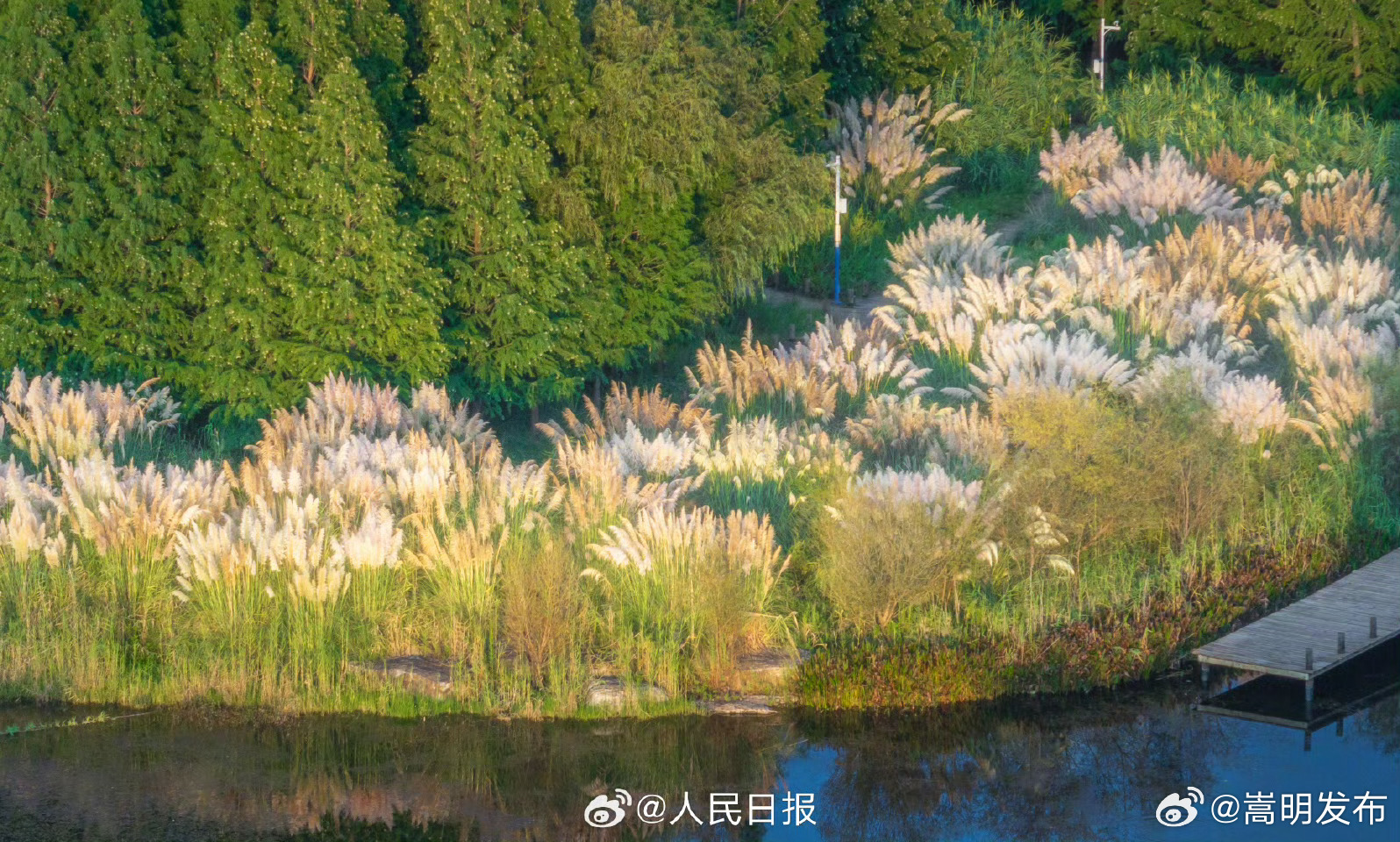 嵩明发布
