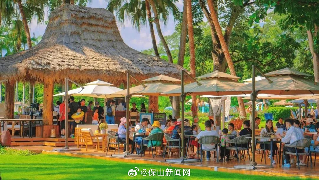 保山新闻网