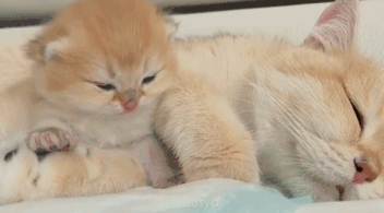 周末补觉尽量别超过这个时间 