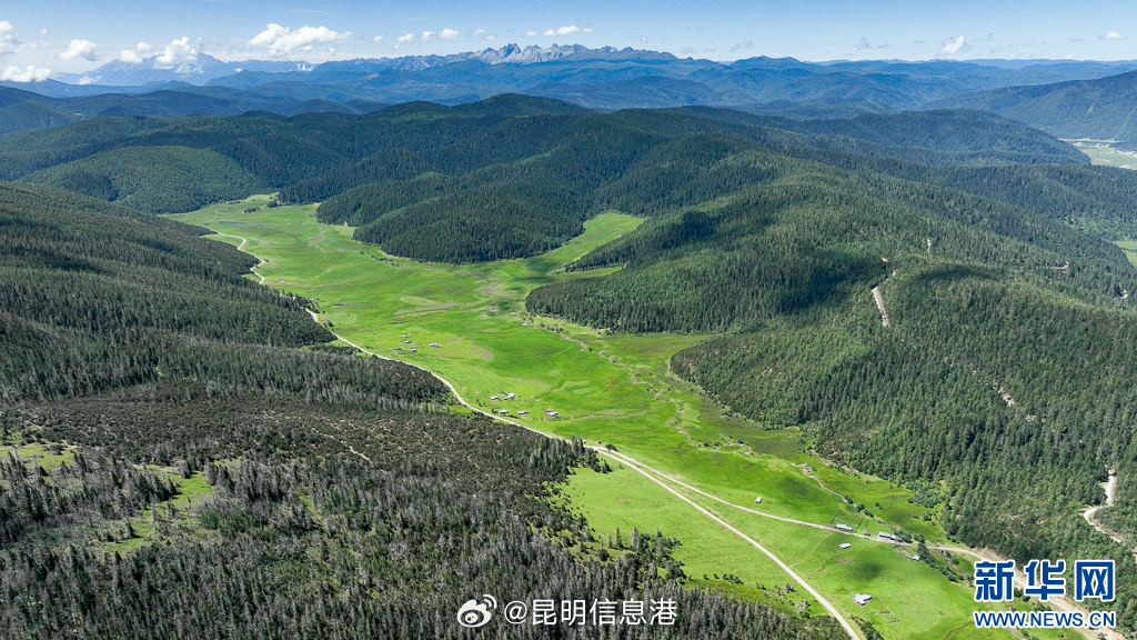 昆明信息港微博