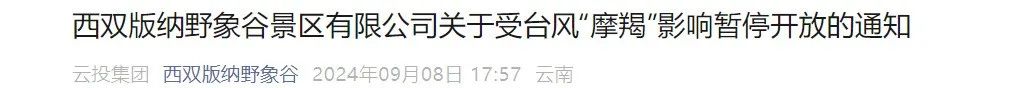 掌上春城微信