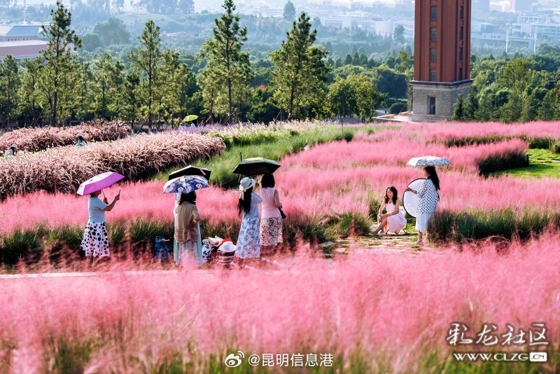 昆明信息港微博