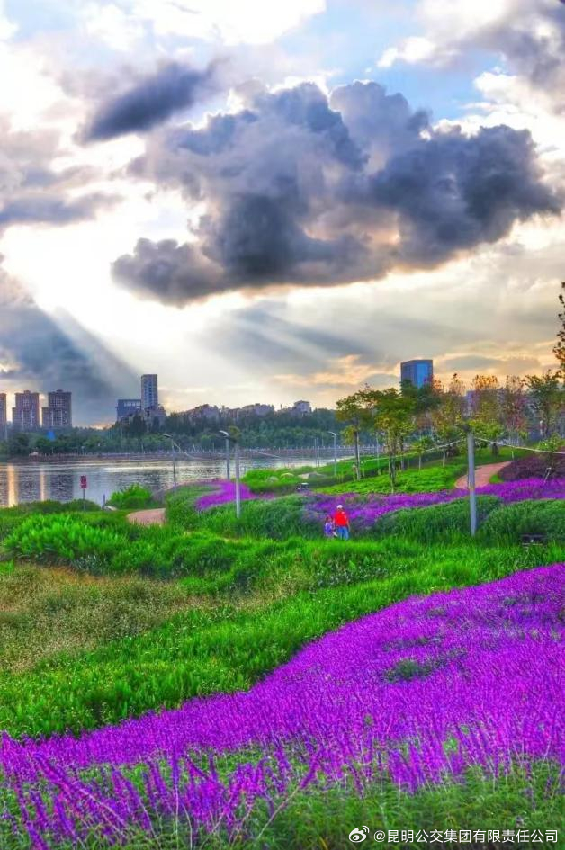 昆明公交集团有限责任公司