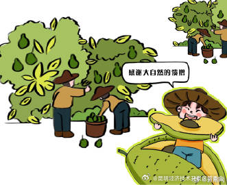 昆明经济技术开发区管委会