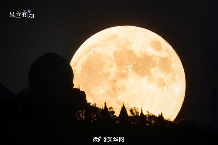 新华网