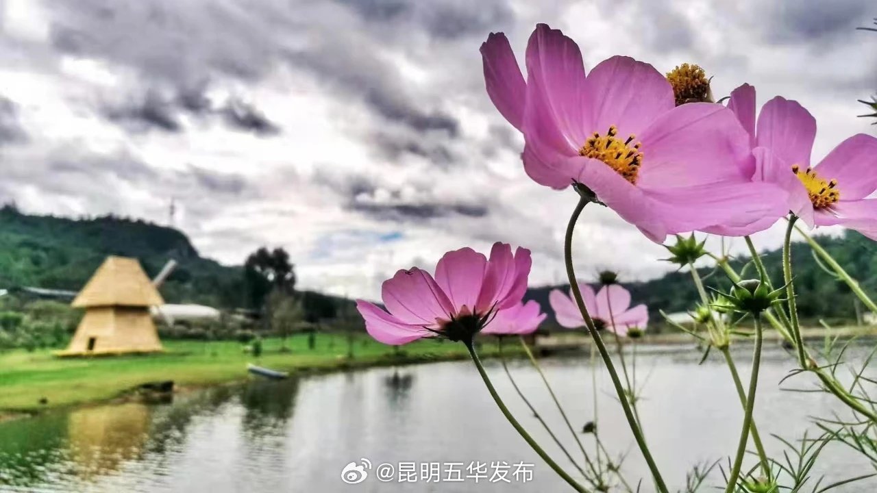 昆明五华发布