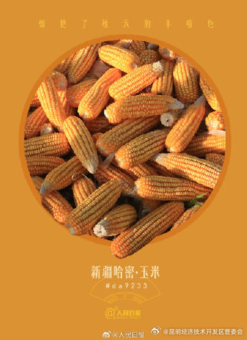 昆明经济技术开发区管委会