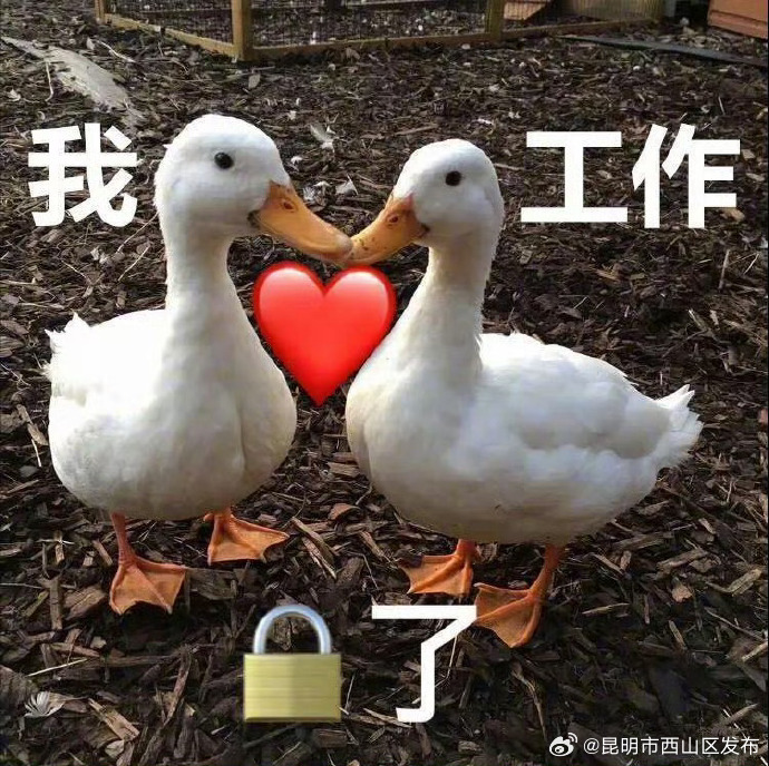 昆明市西山区发布