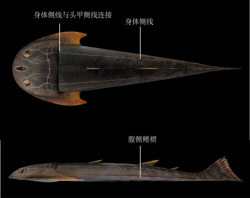 人民网