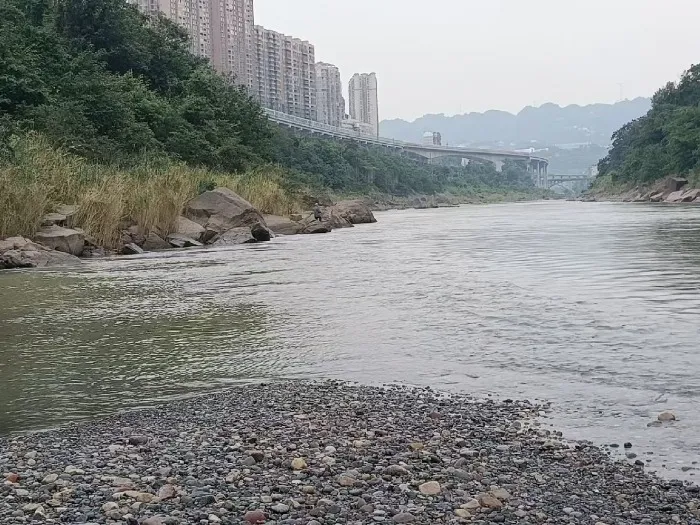 都市时报