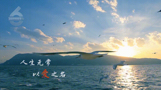 8099999街头巷尾微信