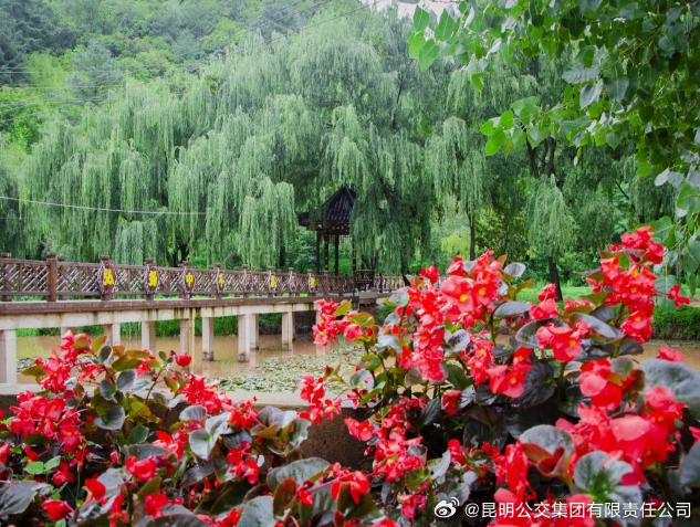 昆明公交集团有限责任公司