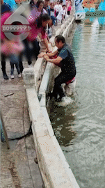 8099999街头巷尾微信