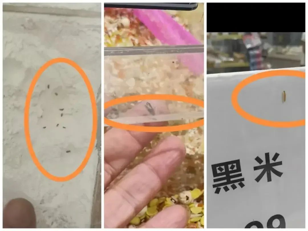 都市时报