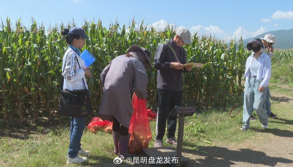 昆明盘龙发布