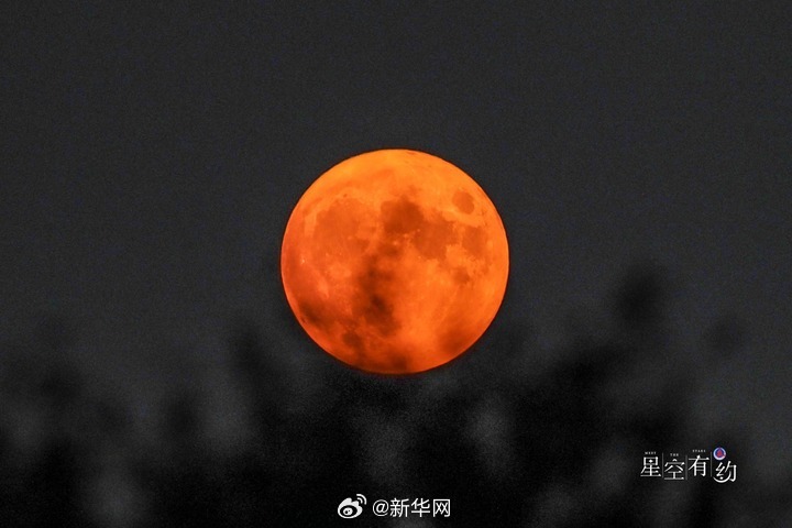 新华网