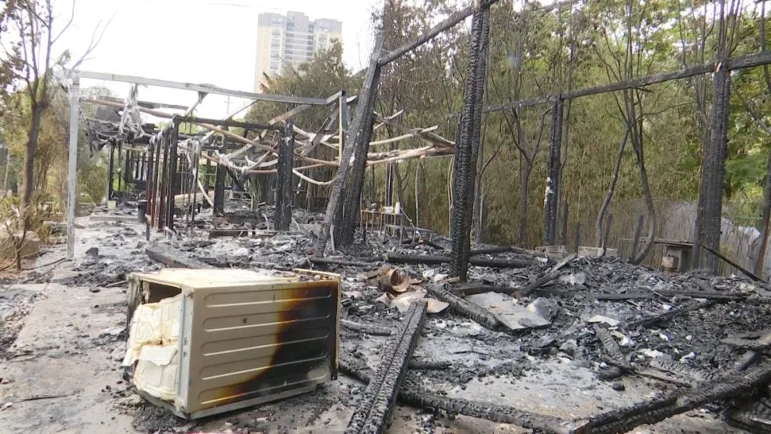 8099999街头巷尾微信