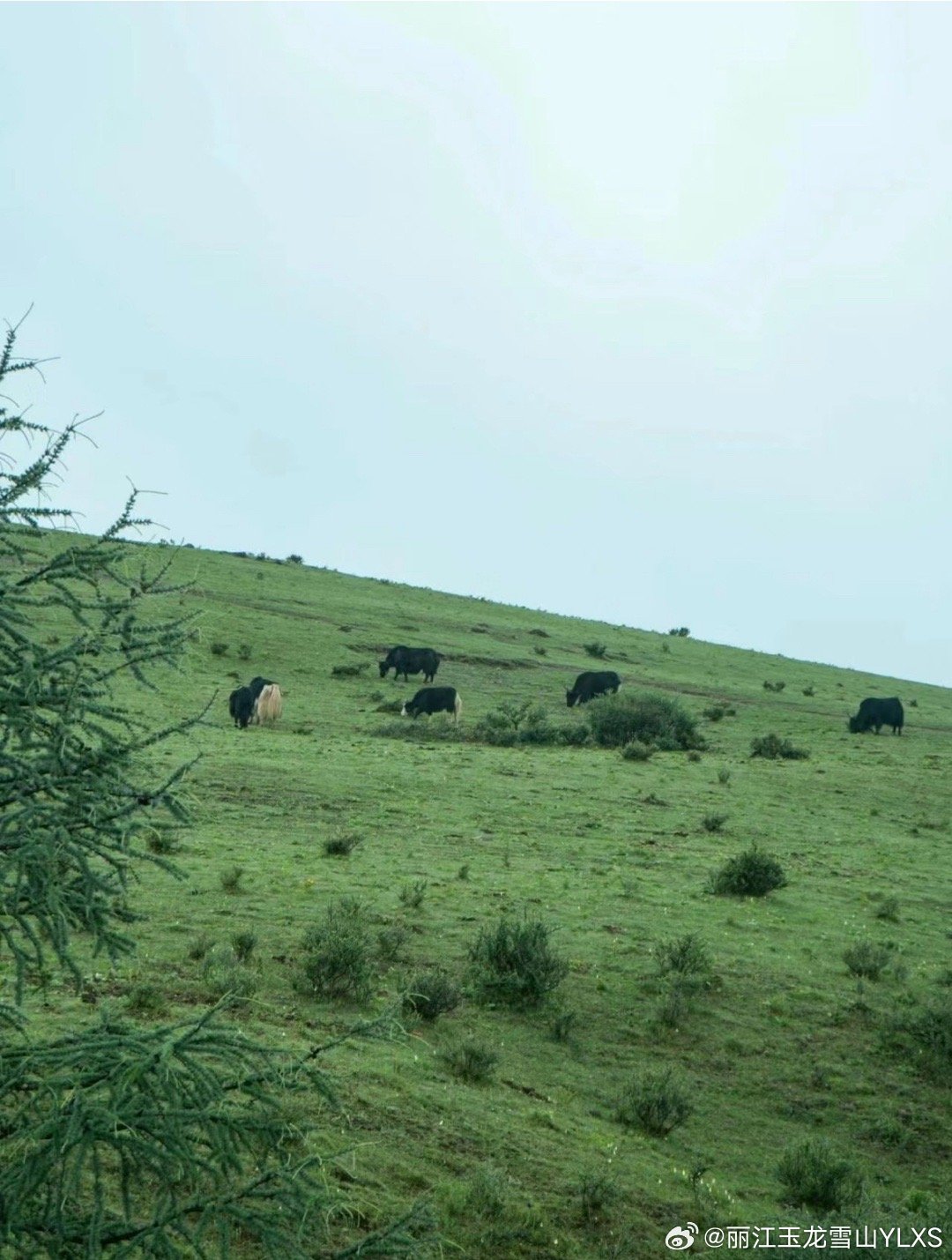 地质灾害气象风险Ⅲ级预警