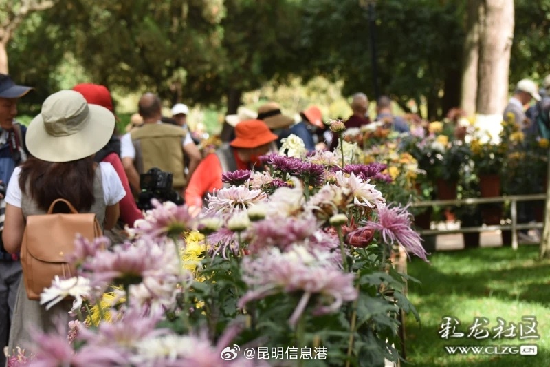 昆明信息港微博