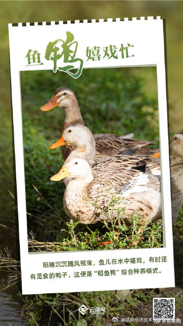 昆明经济技术开发区管委会