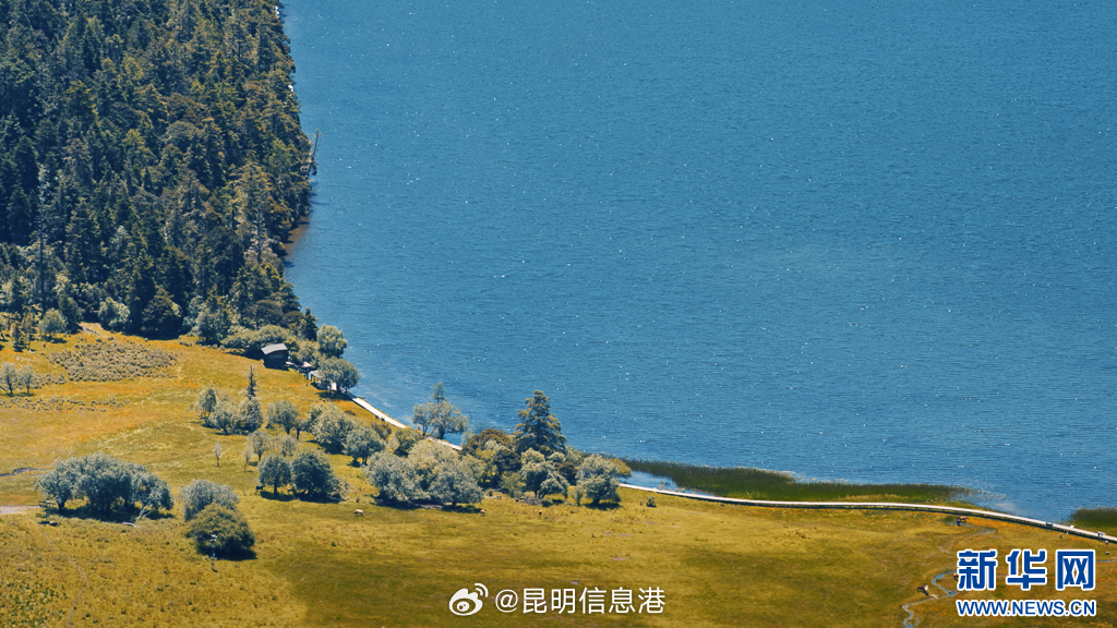 昆明信息港微博