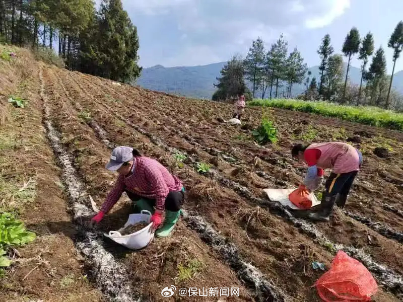 保山新闻网