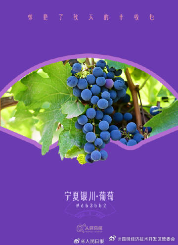 昆明经济技术开发区管委会