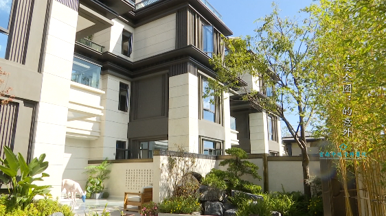 8099999街头巷尾微信