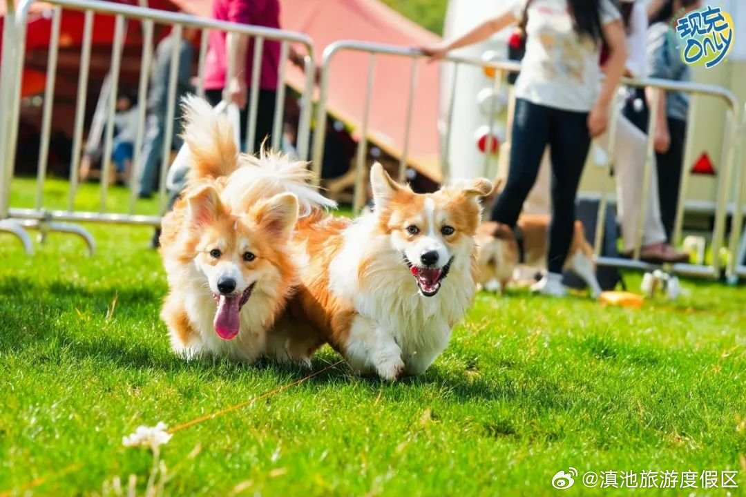 滇池旅游度假区