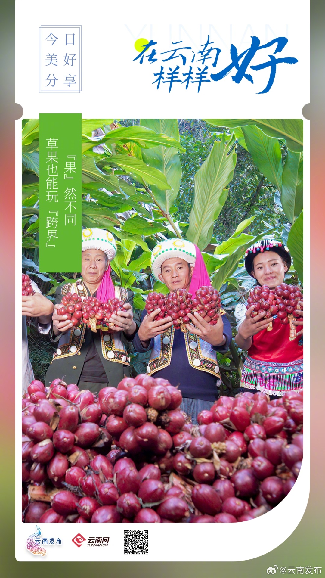 草果气泡水喝过没？