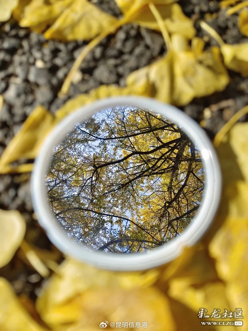 昆明信息港微博