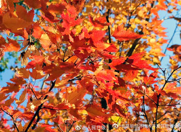 昆明经济技术开发区管委会