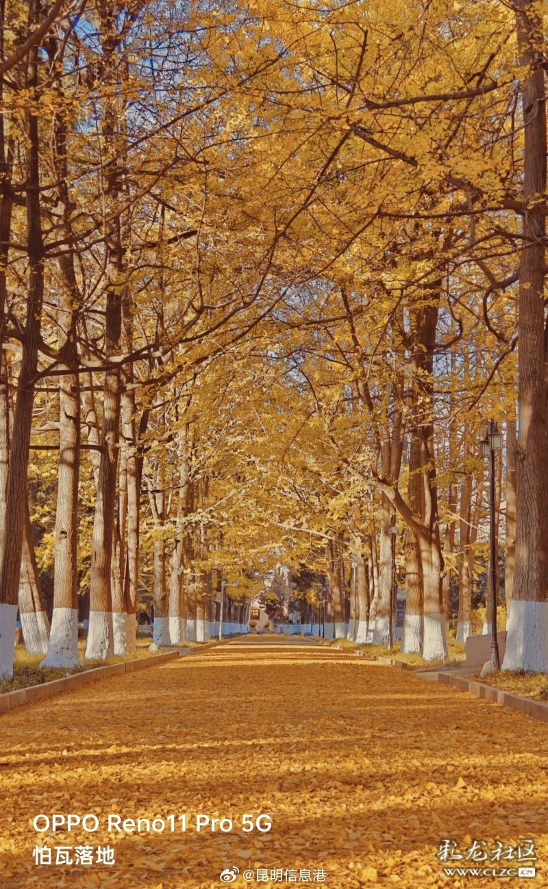 昆明信息港微博