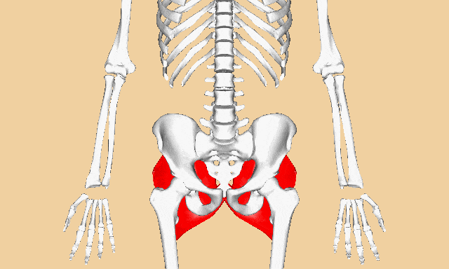 臀部脂肪厚为什么还会寒气重
