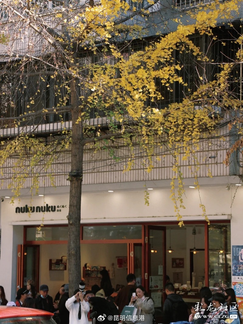 昆明信息港微博