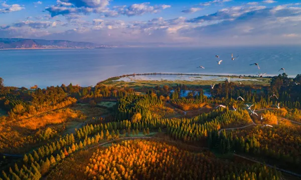 FM105城市生活广播