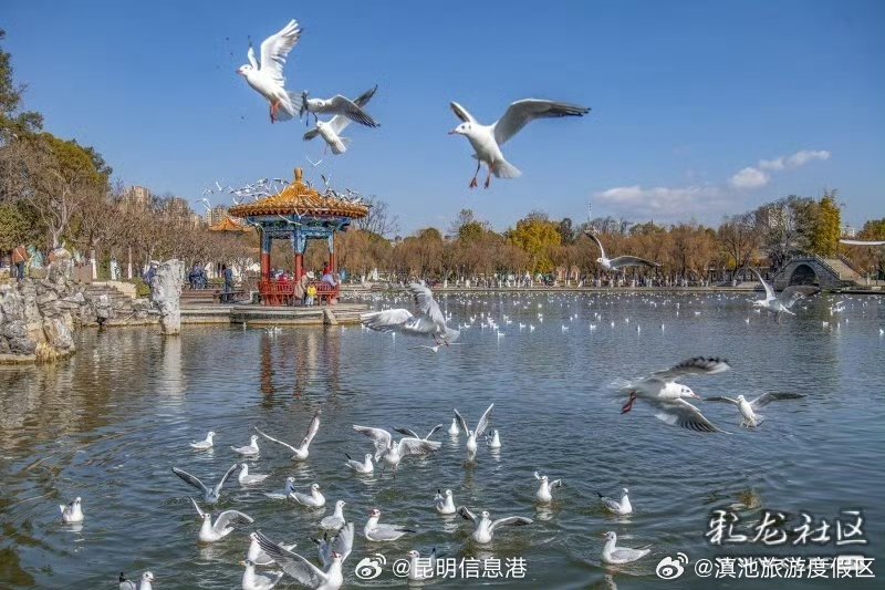 “候鸟老人”南下过冬,云南温暖小城受青睐