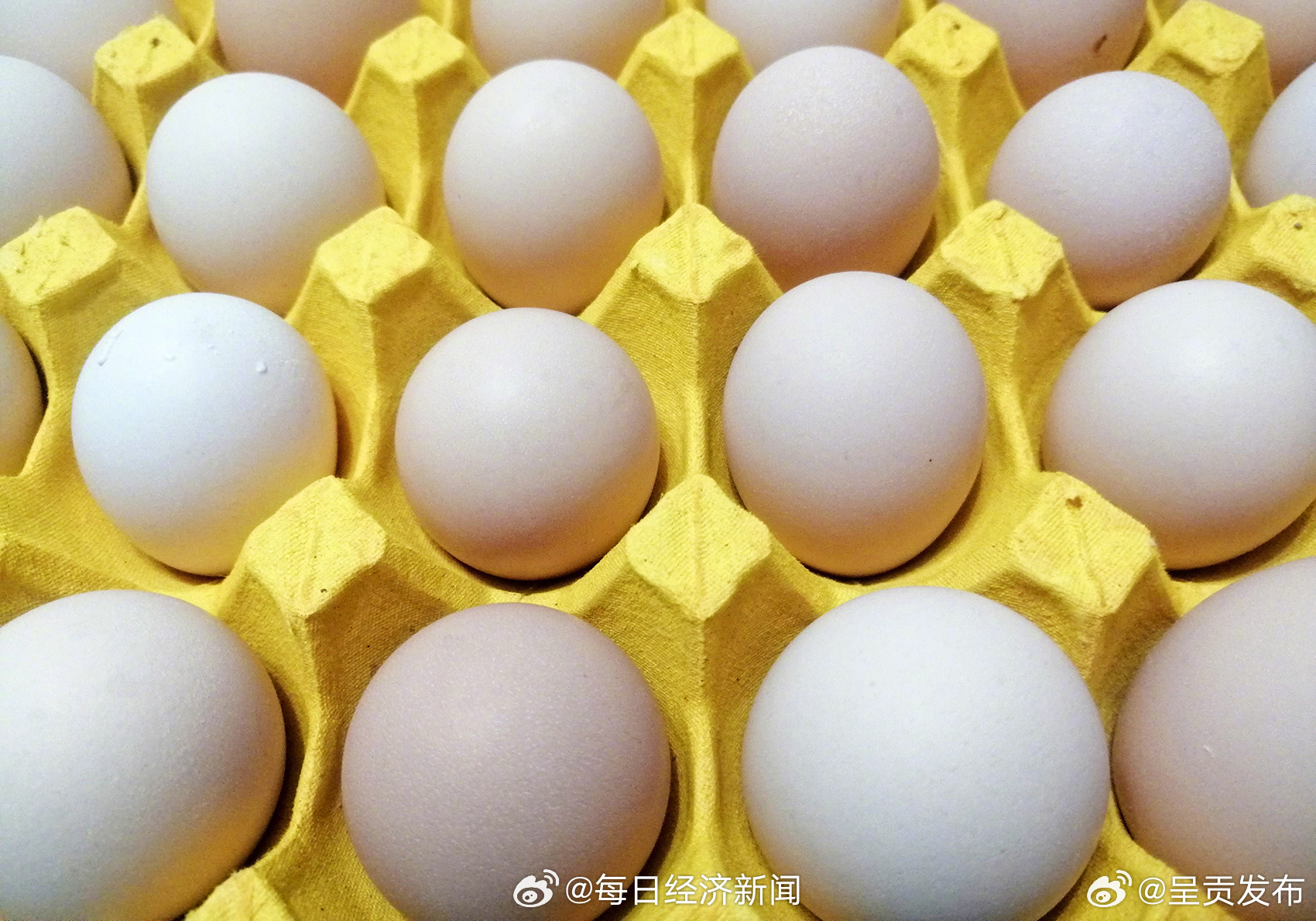 老人为领免费鸡蛋被偷偷开通免密支付 快转发给父母！