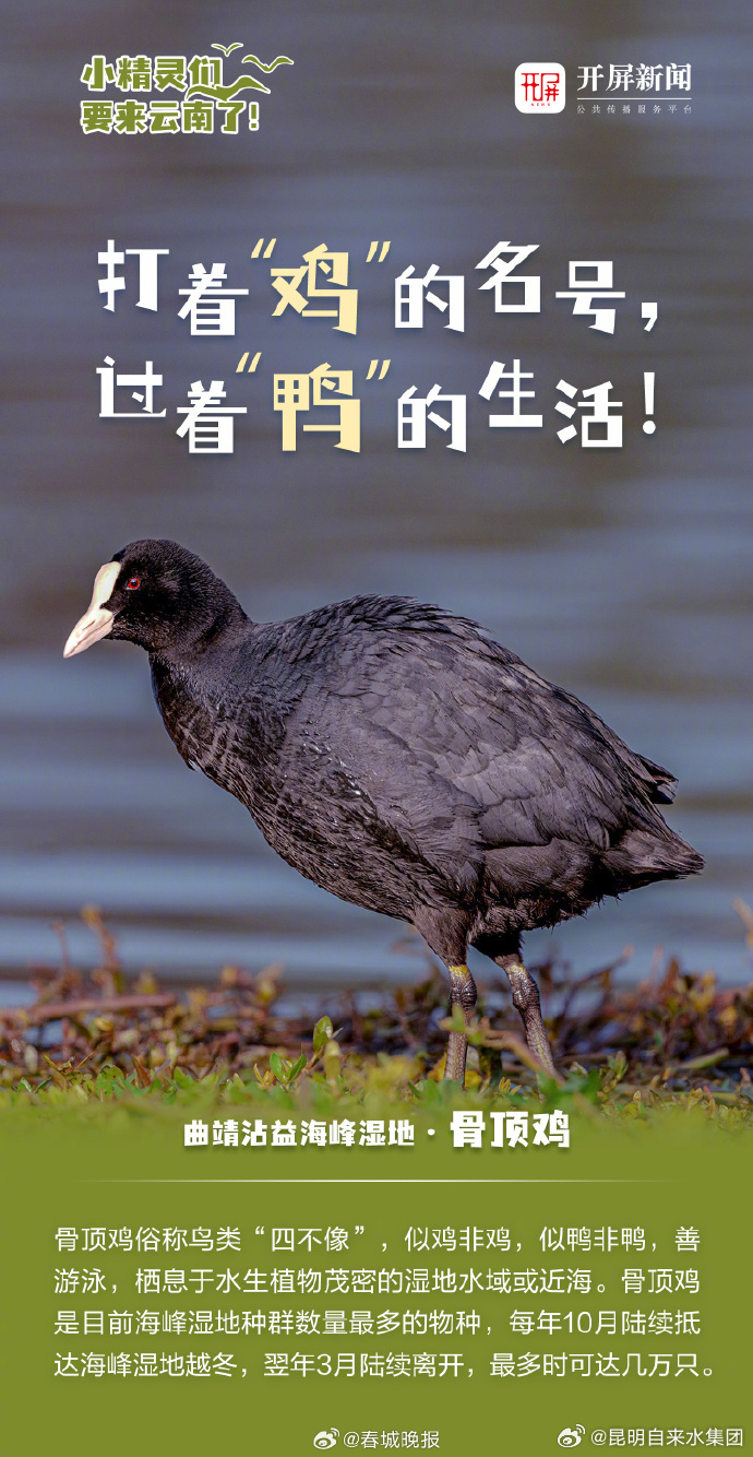 昆明自来水公司