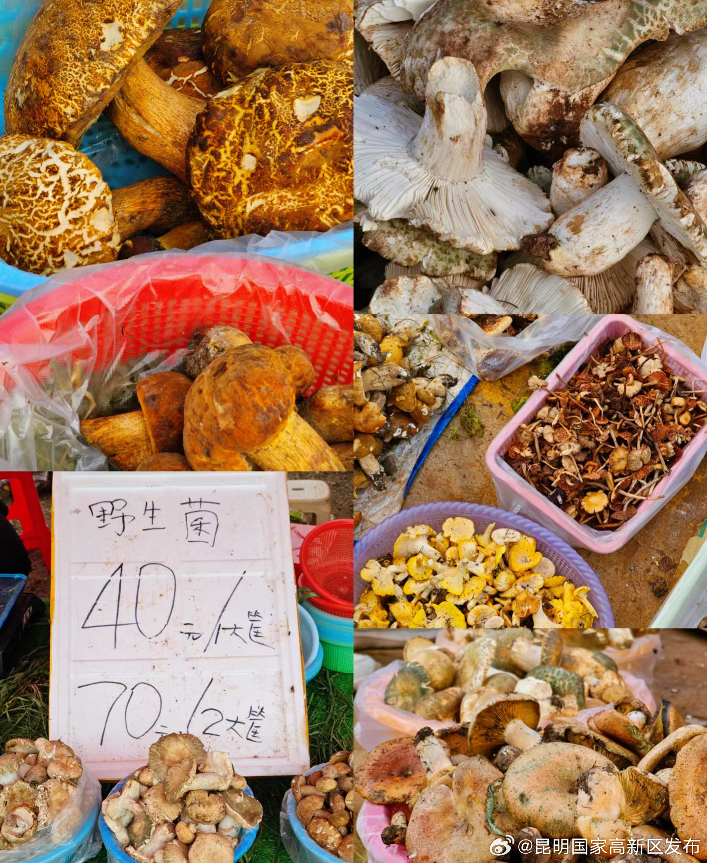 昆明国家高新区发布