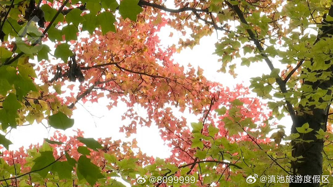 滇池旅游度假区