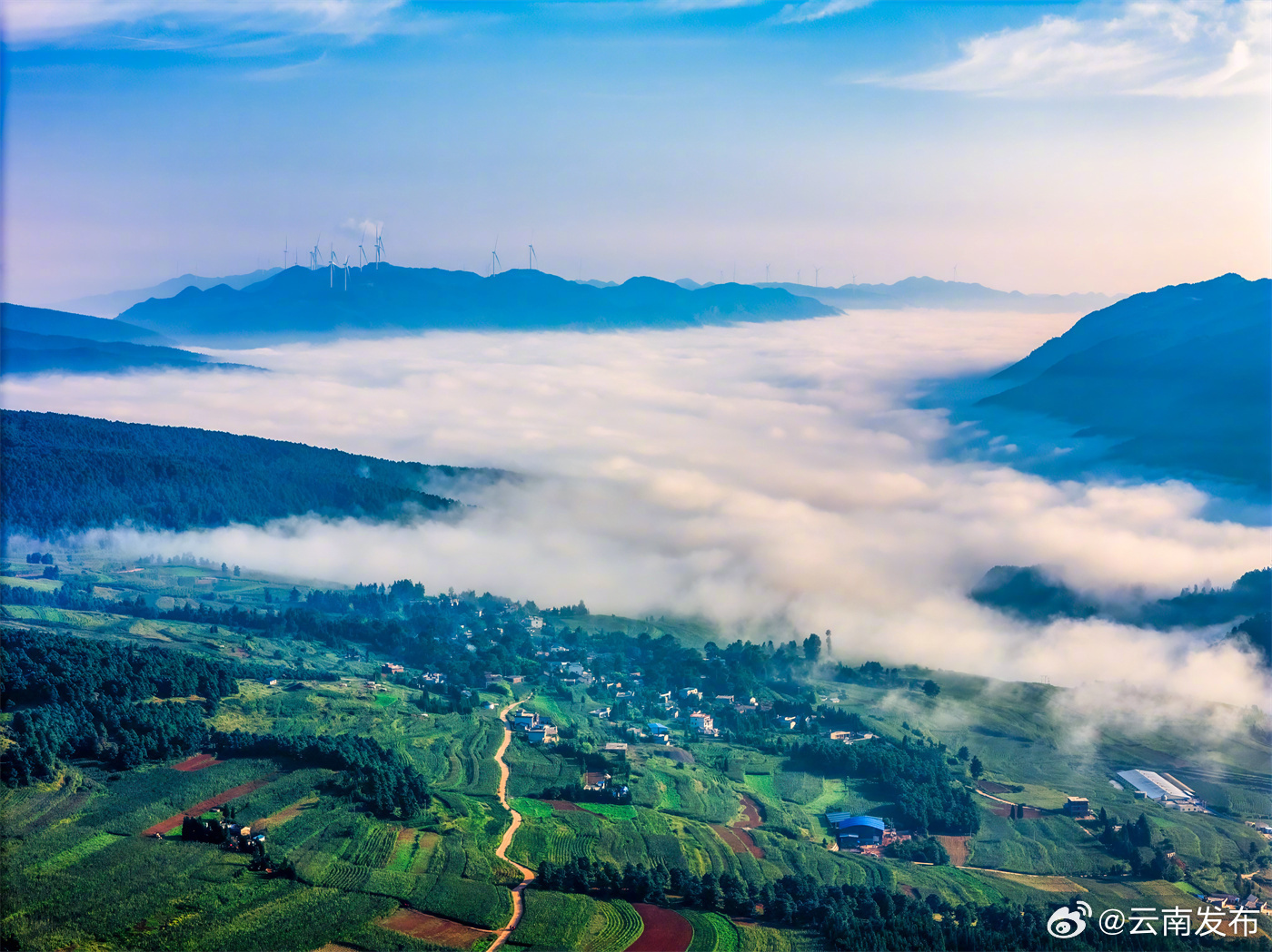 云南发布