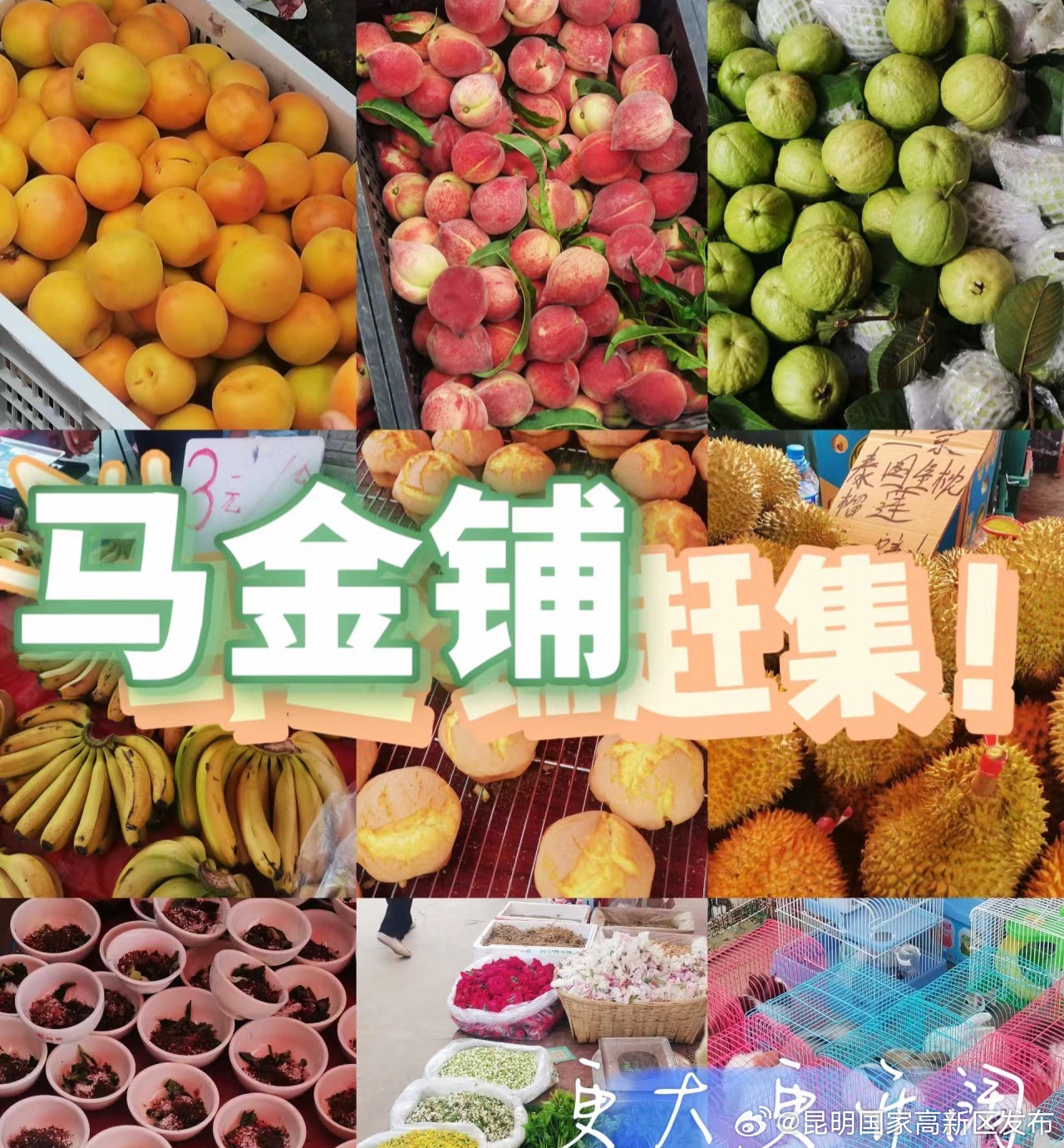 昆明国家高新区发布