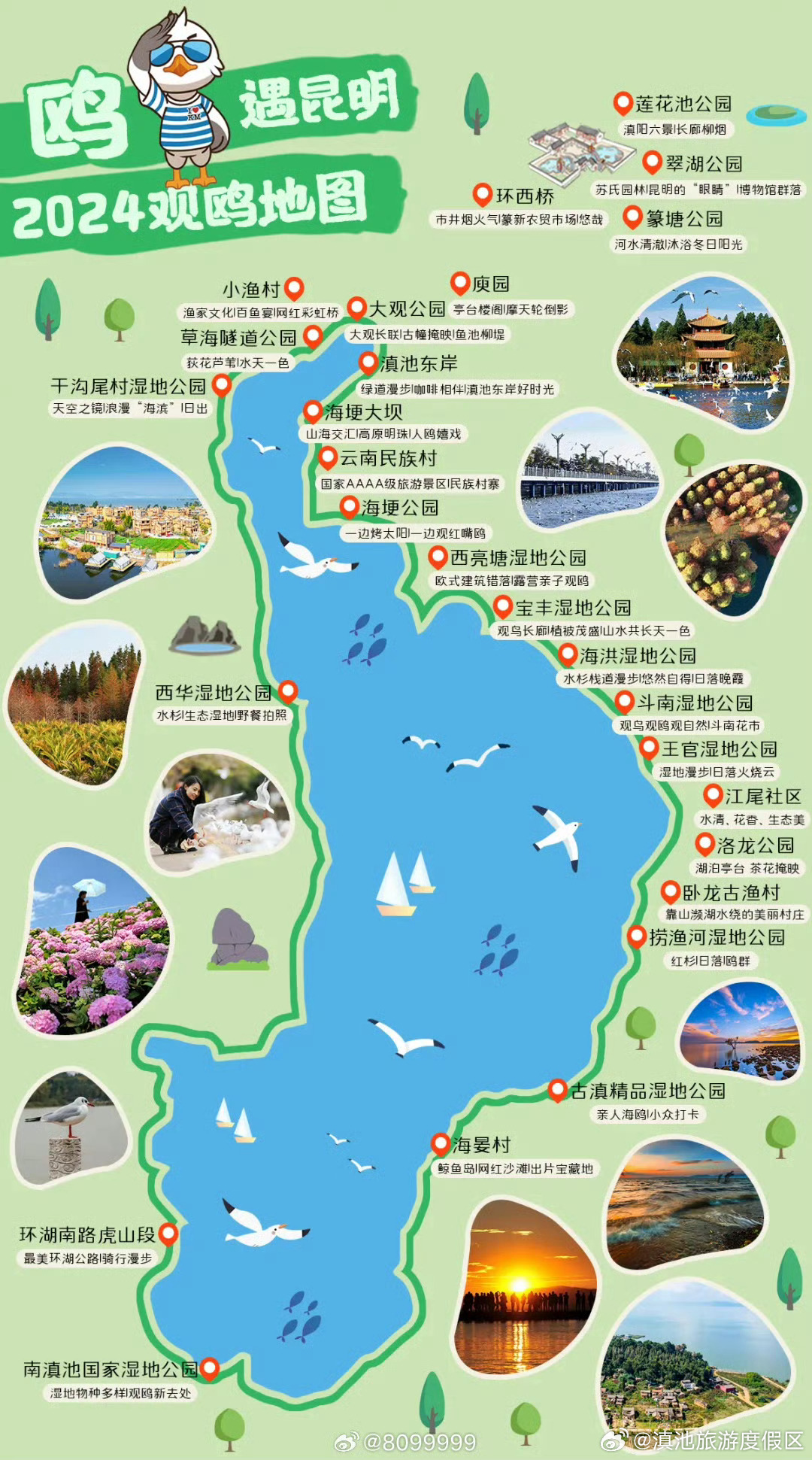 2024年鸥遇昆明观鸥地图出炉