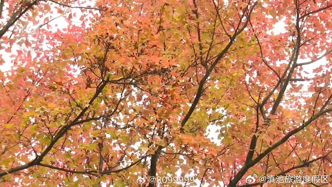 滇池旅游度假区