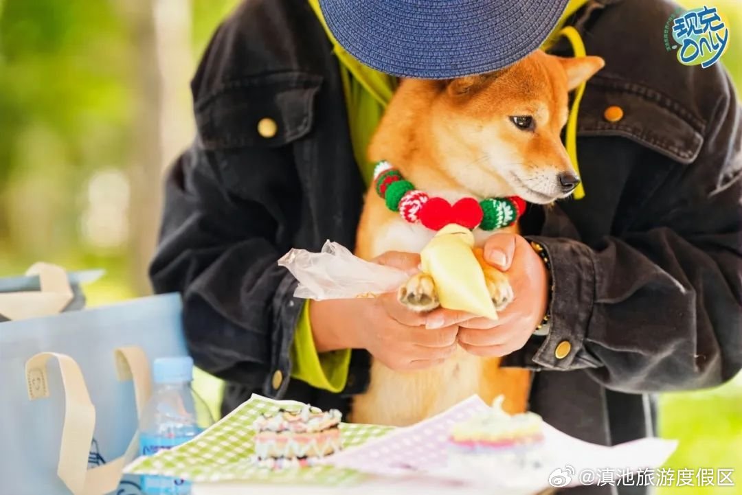 滇池旅游度假区