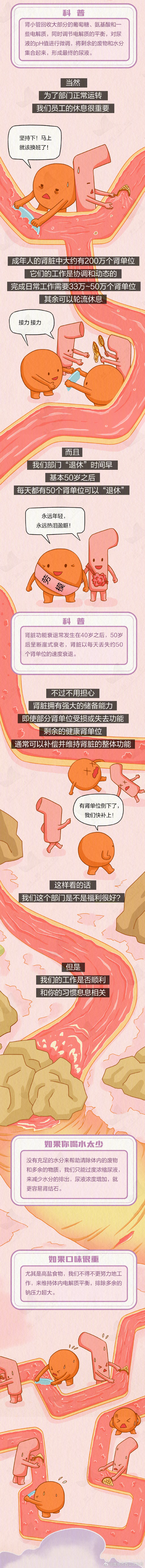 昆明市西山区发布